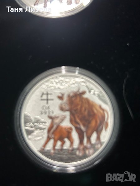 Лунар цветен, годината на вола, снимка 1