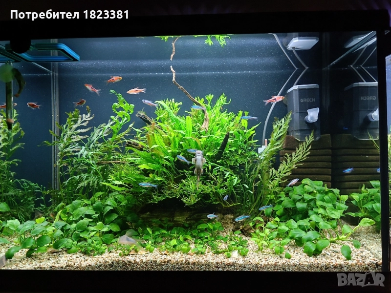 Напълно оборудван и работещ аквариум , снимка 1