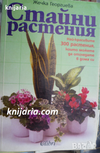 Стайни растения: Най-красивите 300 растения, които можете да отгледате в дома си, снимка 1