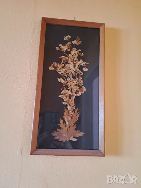 Картина хербарий цветя в рамка, снимка 1