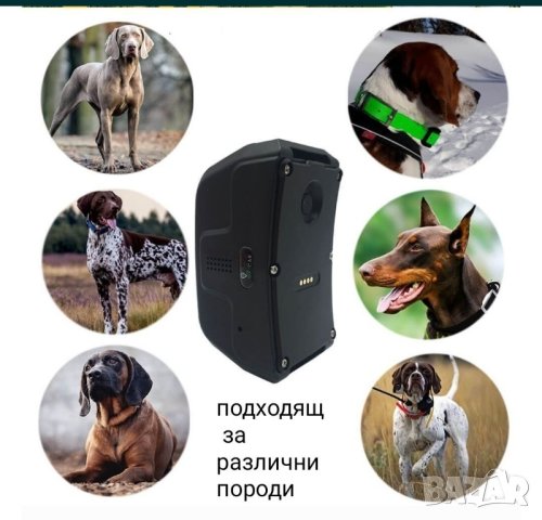GPS Тракер за проследяване IK122 Pro hunter 				

, снимка 5 - За кучета - 41889591
