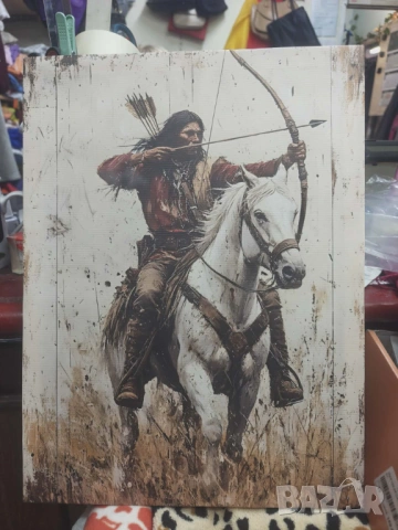 Картина индианец на кон