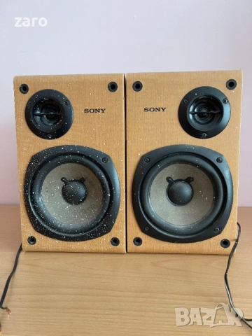 Японски колонки SS-CCP1