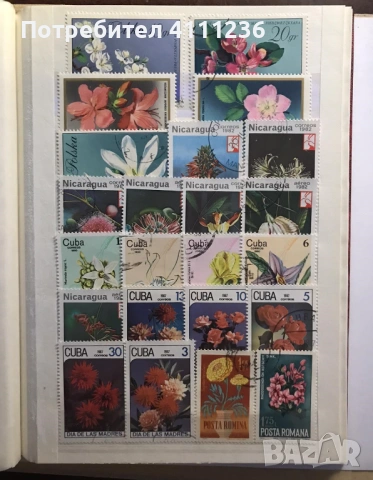 Класьор с марки на тема "Цветя", снимка 8 - Филателия - 53611717