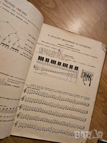 Аз уча акордеон 24 -  120 баса научи се да свиреш на акордеон , снимка 4 - Акордеони - 53830773