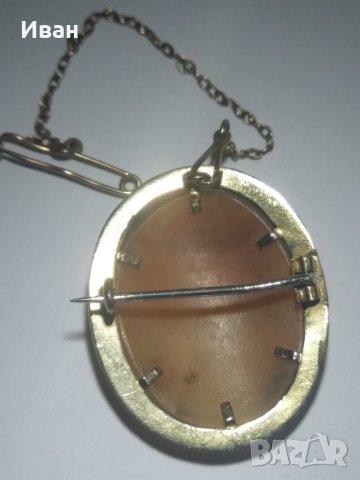 Камея - рапан, снимка 4 - Колиета, медальони, синджири - 40496666