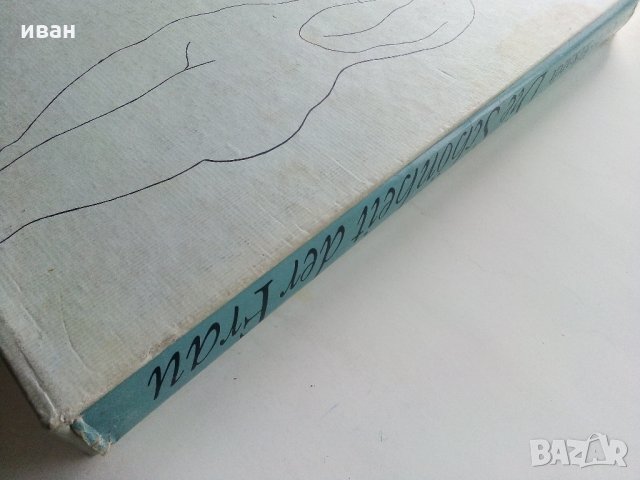 Албум "Die Schönheit der Frau in der europäischen Malerei - Götz Eckardt 1973 г., снимка 13 - Колекции - 35965675