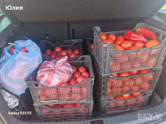 Димати-обли, рома, розов, снимка 2 - Домашни продукти - 55715263
