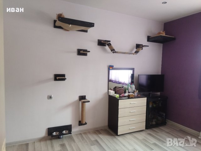 Котешка стена за игра и релакс 