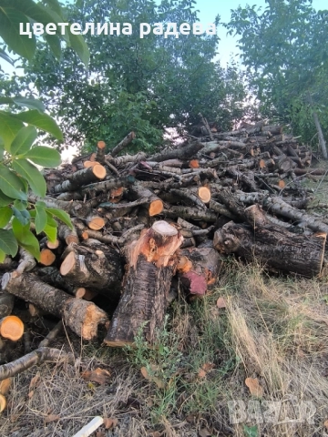Дърва за огрев, снимка 3 - Дърва за огрев - 52809288