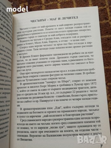 Чесънът - Вълшебникът, който може всичко - Росица Тодорова , снимка 3 - Други - 44694046