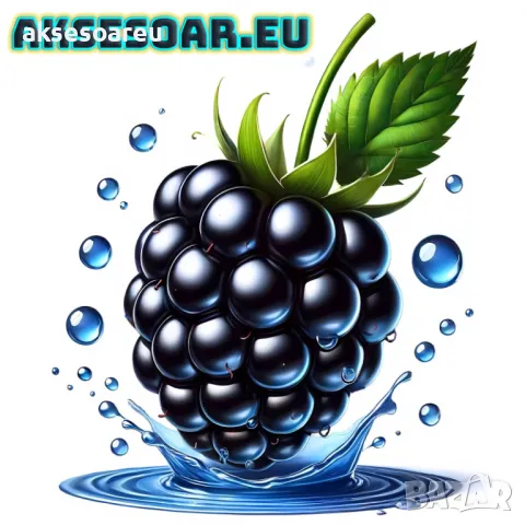 Висококачествени нови семена от хранителна Къпина без бодли антиоксидант Rubus rusticanus 50+ семена, снимка 7 - Сортови семена и луковици - 50333229