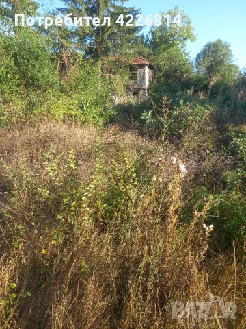 чистене на вилни места дворове