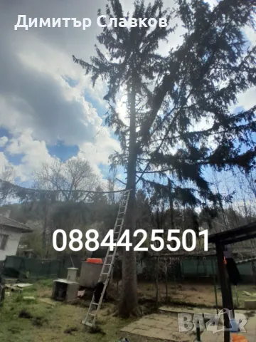 Рязане на опасни дървета,Кастрене,Косене,Почистване на дворове,парцели,места,градинки, снимка 2 - Кърти, чисти, извозва - 49707388