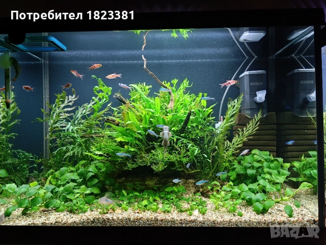 Напълно оборудван и работещ аквариум 