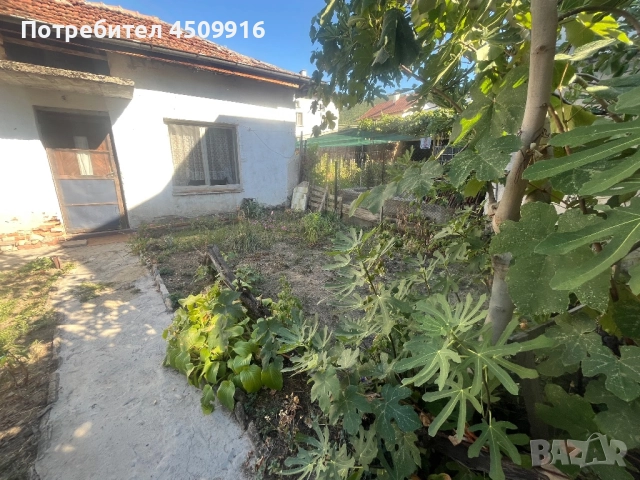 Къща с двор и втора жилищна постройка, снимка 3 - Къщи - 51552904