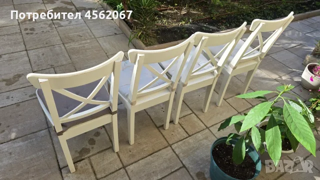 Продавам трапезни столове масивно дърво Ikea, снимка 2 - Столове - 55877372