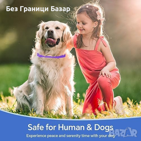 Нова светеща Каишка за Успокояване на Кучета с Природни Масла, снимка 7 - За кучета - 44615317