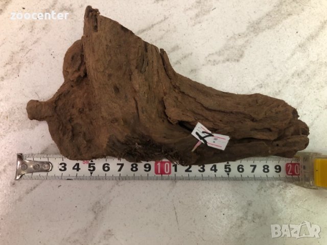 Мангров корен, снимка 1