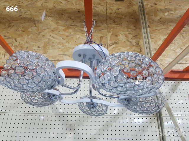 Полилей, снимка 2 - Полилеи - 39634816