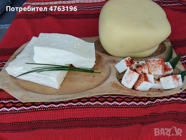 Производство на натурални млечни продукти произведени в България