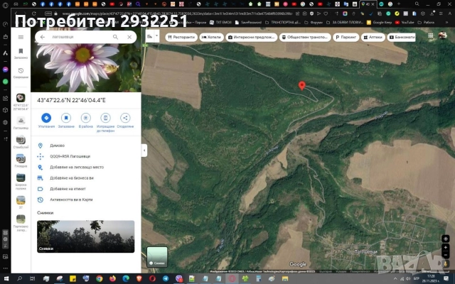 Продава гора Видинско, снимка 4 - Земеделска земя - 52703925