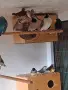 Гулдови Амадини!, снимка 1