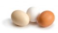Домашни яйца