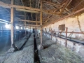 Продавам селскостопански обор - кравеферма, снимка 8