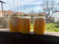 🍯 Продавам домашен пчелен мед – директно от производител! 🍯, снимка 3
