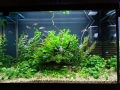 Напълно оборудван и работещ аквариум , снимка 1