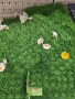 изкуствена трева , снимка 2