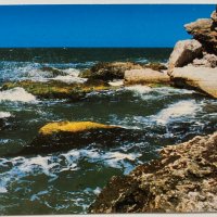 Картичка Чернонорски бряг, снимка 1 - Филателия - 39473988