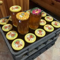  Пчелен мед, снимка 2 - Пчелни продукти - 44232054