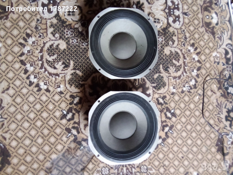 Говорители 10 инча-Fane., снимка 1