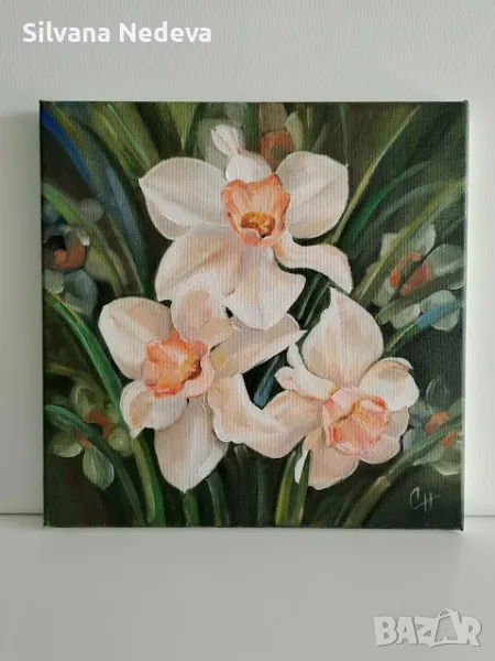 Картини на платно с маслени бои, снимка 1