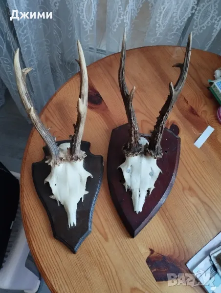 трофеи от сръндак, снимка 1