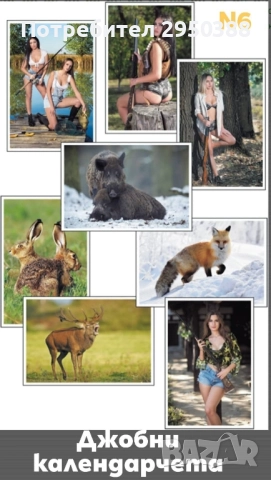 КАЛЕНДАРИ 2026г. , снимка 6 - Декорация за дома - 52588939