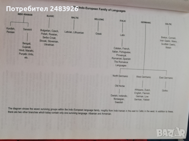 Оксфордски училищен речник на произхода на думите  Джон Айто, снимка 3 - Чуждоезиково обучение, речници - 44664722