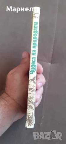 Чудеса на природата , снимка 2 - Енциклопедии, справочници - 50879287