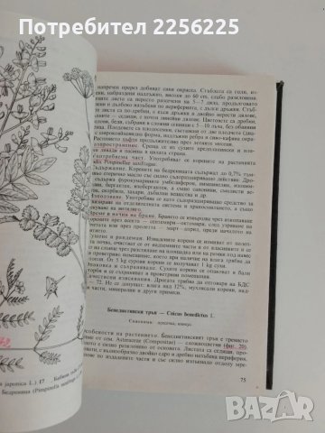Билки и билкосъбиране, снимка 2 - Специализирана литература - 51113690