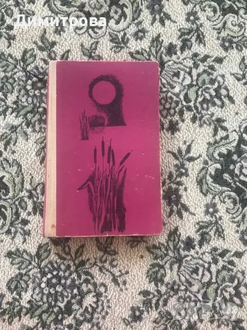 Детски книги , снимка 3 - Детски книжки - 44214069