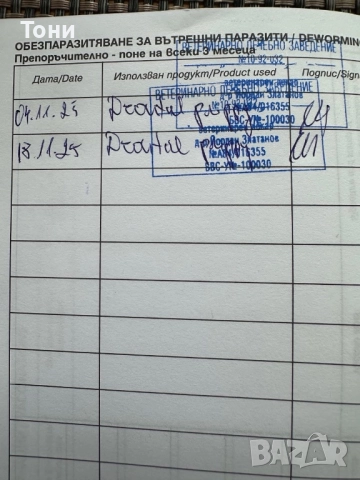 Френски Булдог French Bulldog Blue, снимка 4 - Френски булдог - 52380915