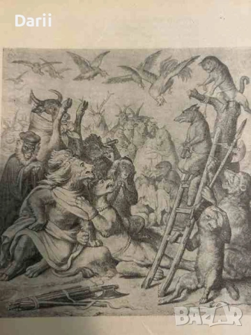 Чудниятъ романъ на Кумъ Лисанъ- Димитър Стоевски, снимка 3 - Детски книжки - 53705575