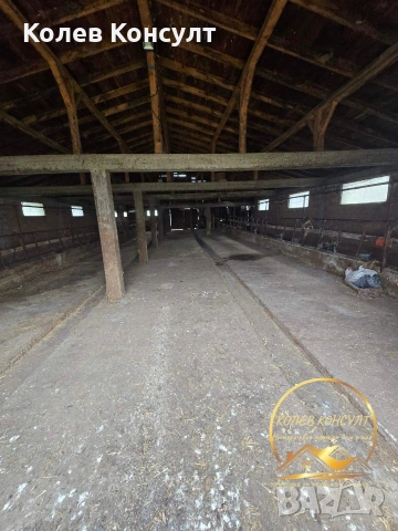 Къща с обор село Знаменосец , снимка 6 - Къщи - 53417905