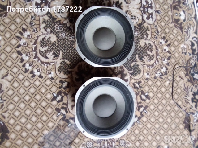 Говорители 10 инча-Fane.