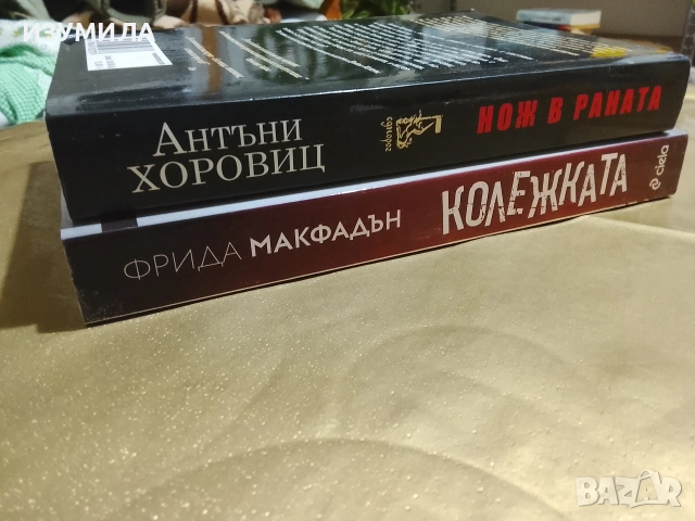 Колежката - Фрида Макфадън / Нож в раната - Антъни Хоровиц, снимка 2 - Художествена литература - 53342773