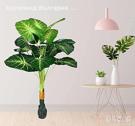 Цветя и растения за градината - Варна: - ХИТ цени - Онлайн — Bazar.bg