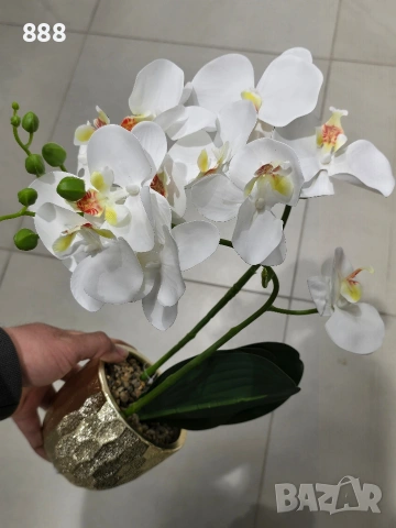декоративни саксии цветя орхидеи , снимка 4 - Декорация за дома - 48361900