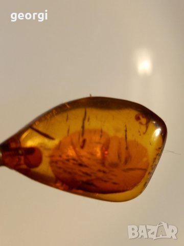 Колие с кехлибарената висулка , снимка 7 - Колиета, медальони, синджири - 39120312